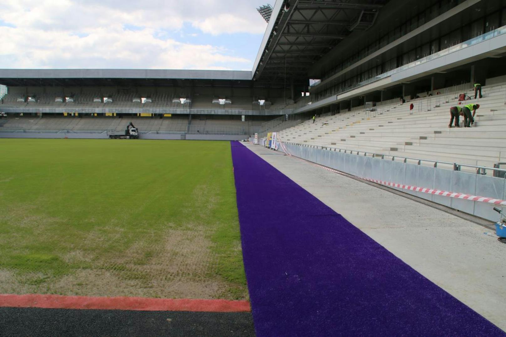 Der violette Rasen wird in der Generali Arena verlegt