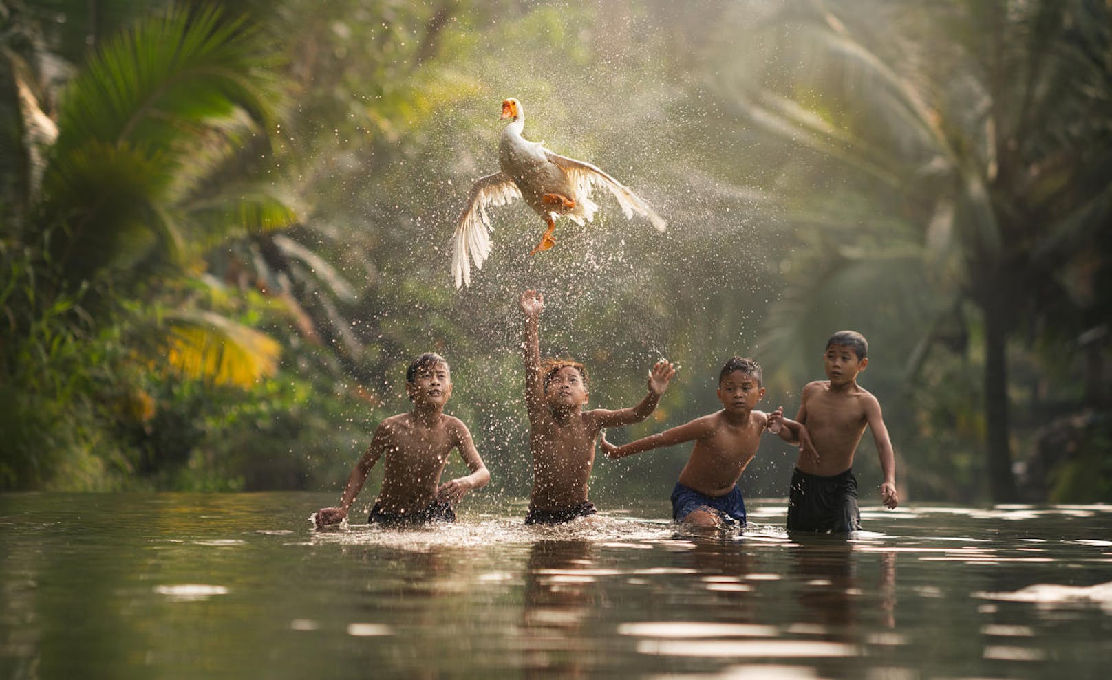 Alexandrino Lei Arosa, "Kids chasing the goose"