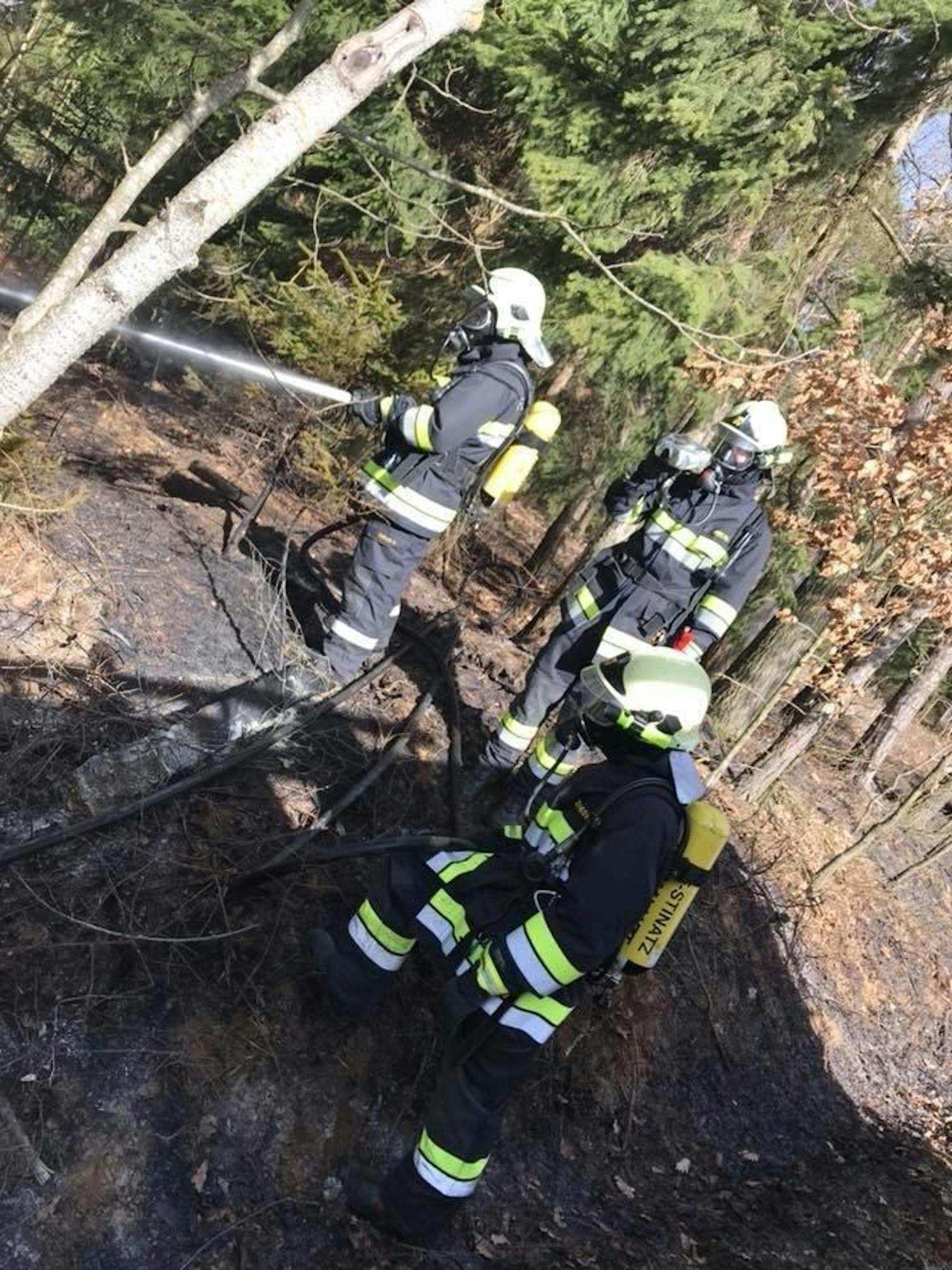 Verspätetes Osterfeuer außer Kontrolle löst beinahe Waldbrand aus: Großalarm für die Feuerwehren im Bezirk Güssing (4. April 2018).