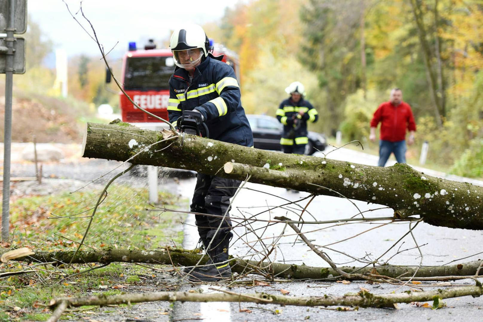 Zahlreiche umgestürzte Bäume musste die Feuerwehr beseitigen.
