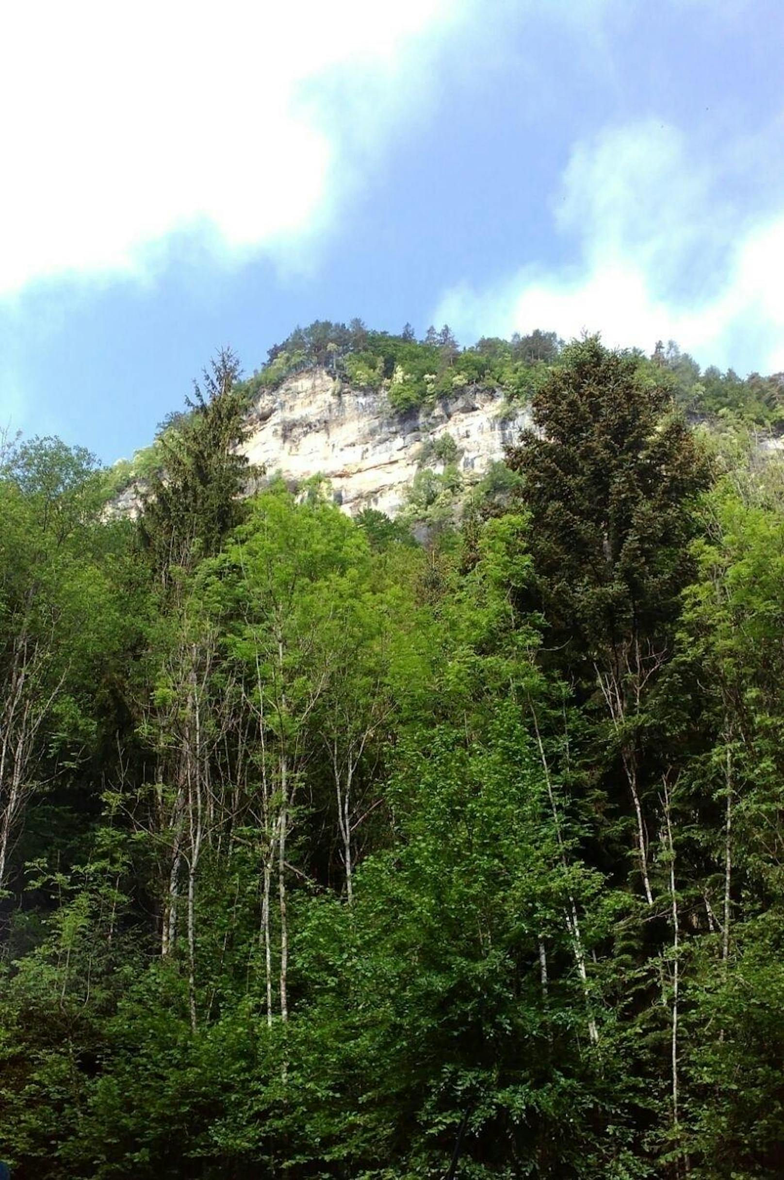 Die abgebrochenen Felsen drohen bei starkem Regenfall auf die circa 100 Meter darunterliegende Miegerer Landesstraße (L 100) über das steilabfallende Waldstück abzurollen.
