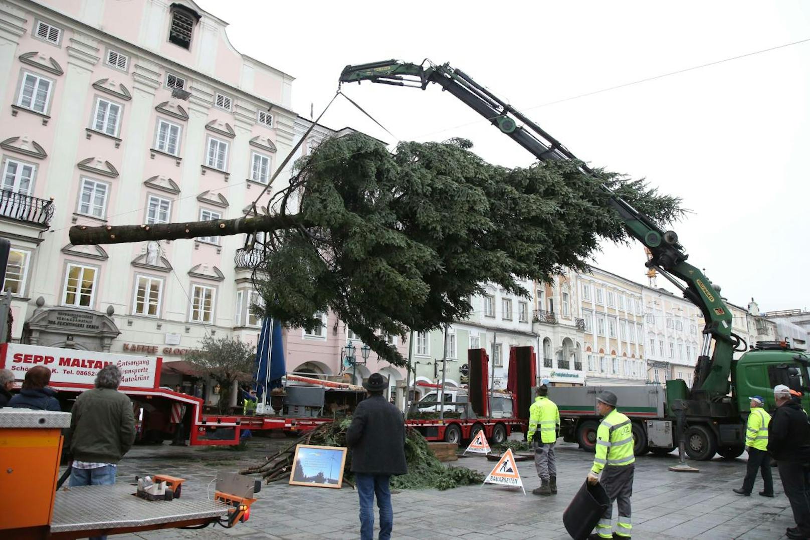 Die Linzer Christbaum wurde am Montag aufgestellt.