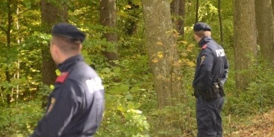 Symbolfoto einer Polizei-Suche im Wald.