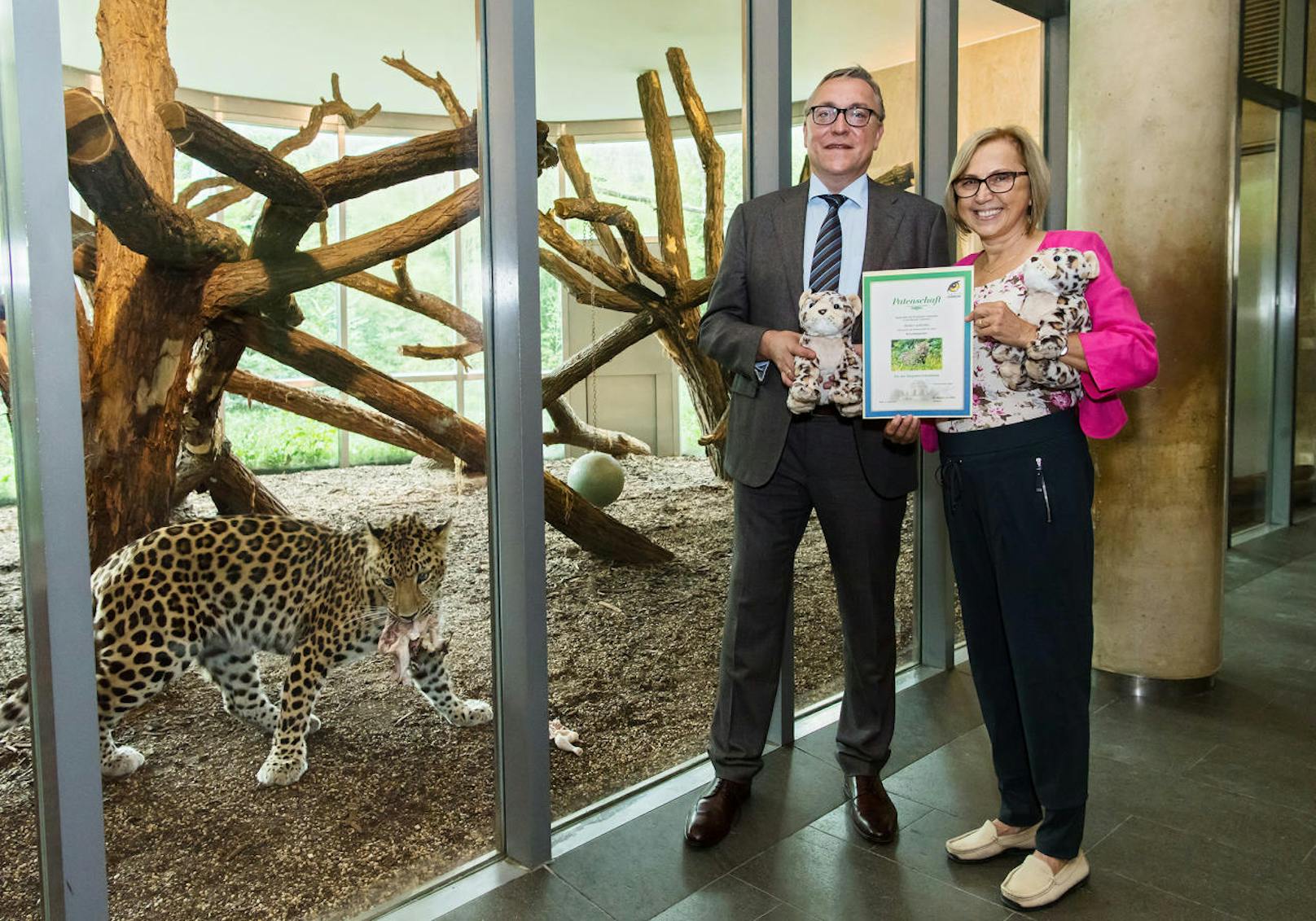 Als Geschenk überreichte Tiergarten-Direktiorin Dagmar Schratter dem "Patenonkel" einen Stoff-Leoparden.