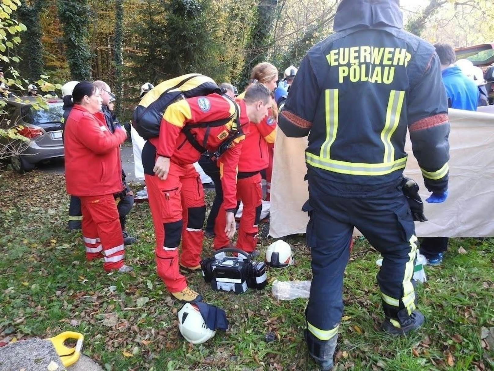 Nachdem die Frau befreit war, unterstützten die Feuerwehrsanitäter unverzüglich das Rote Kreuz Pöllau und die Notärzte bei der Reanimation.