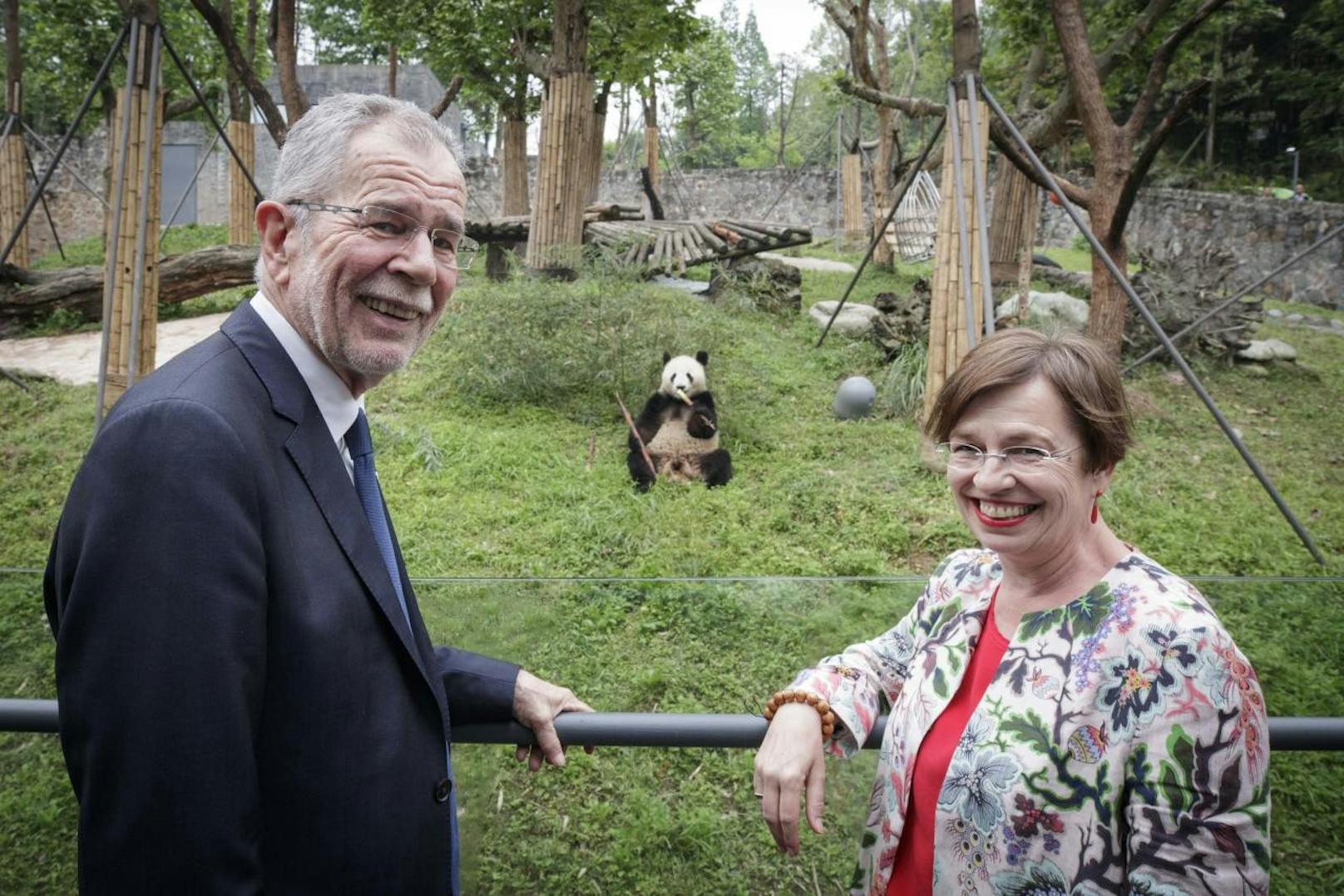 Ein Panda wollte mit Frau Doris Schmidauer "anbandeln"...