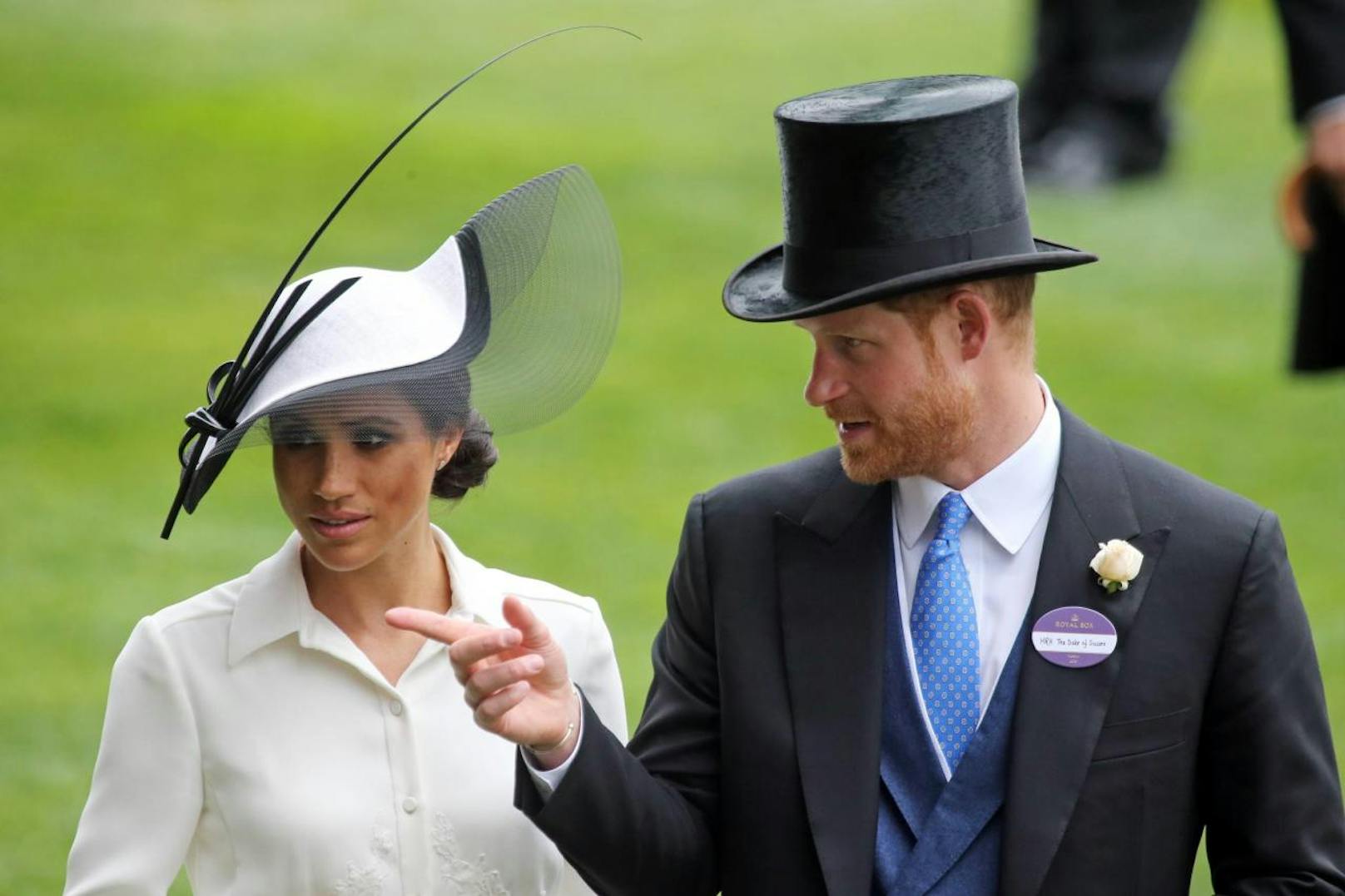 Harry zeigt seiner Duchess wie der Hase - äh, das Pferd - läuft