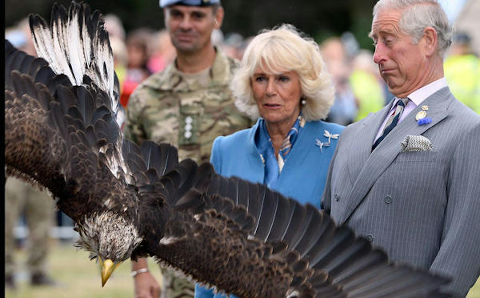 Prinz Charles und Camilla wurden bei der Sandringham Flower Show von einem Riesen-Adler attackiert.