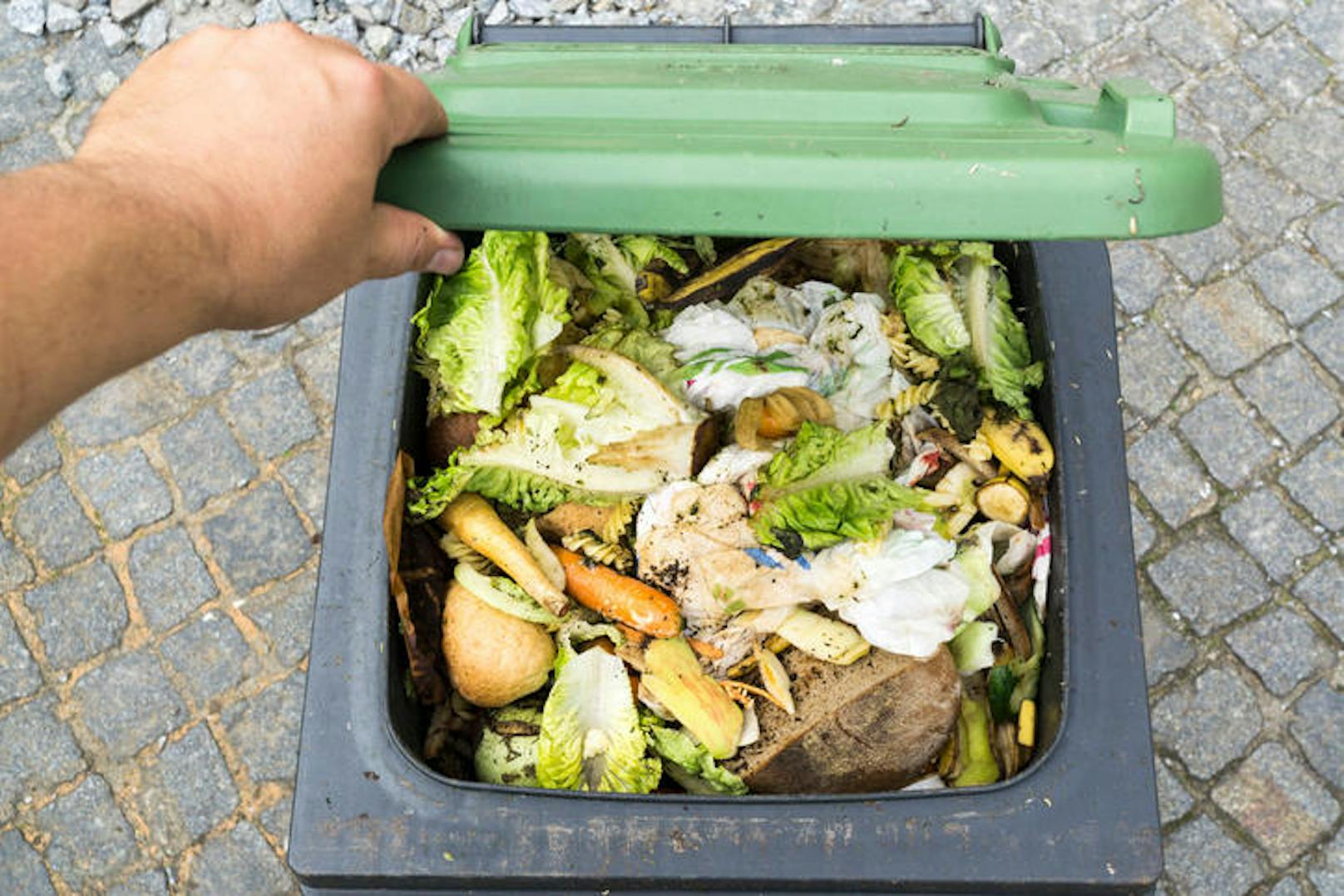 Müll-Analyse für Wien: Am häufigsten werfen wir Obst weg.