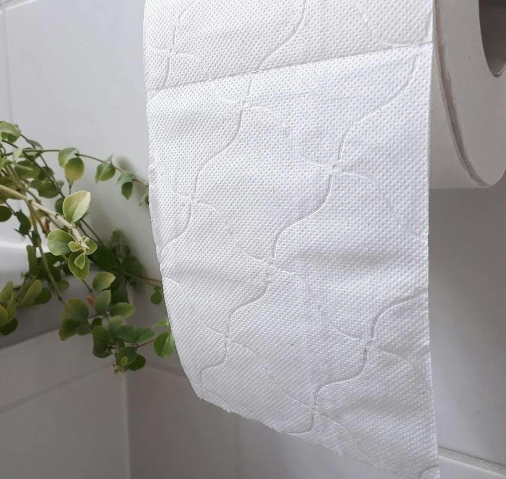 Es sieht aus wie ganz normales Toilettenpapier, doch anders als dieses wurde es nicht aus Holz gewonnen, sondern aus Gras.