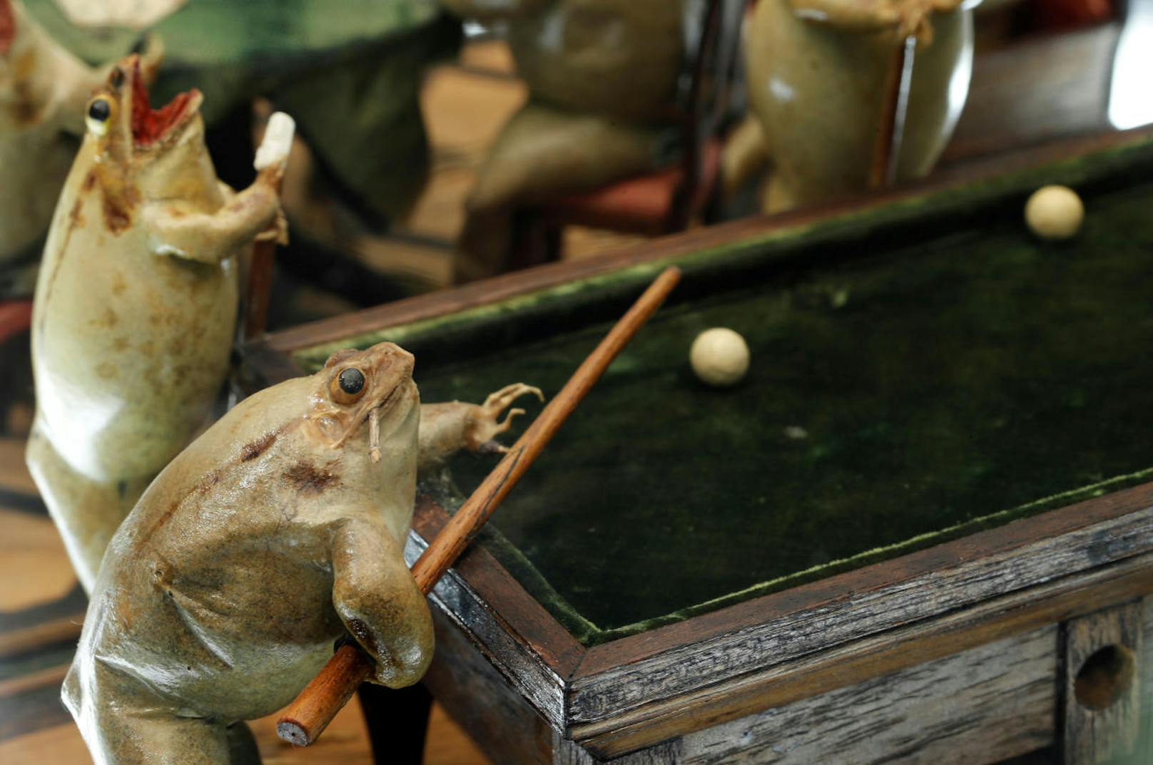 Diese Frösche spielen Billard. Im Froschmuseum in Estavayer-le-Lac in der Schweiz stellen 108 ausgestopfte Frösche Alltagsszenen aus dem 19. Jahrhundert dar.