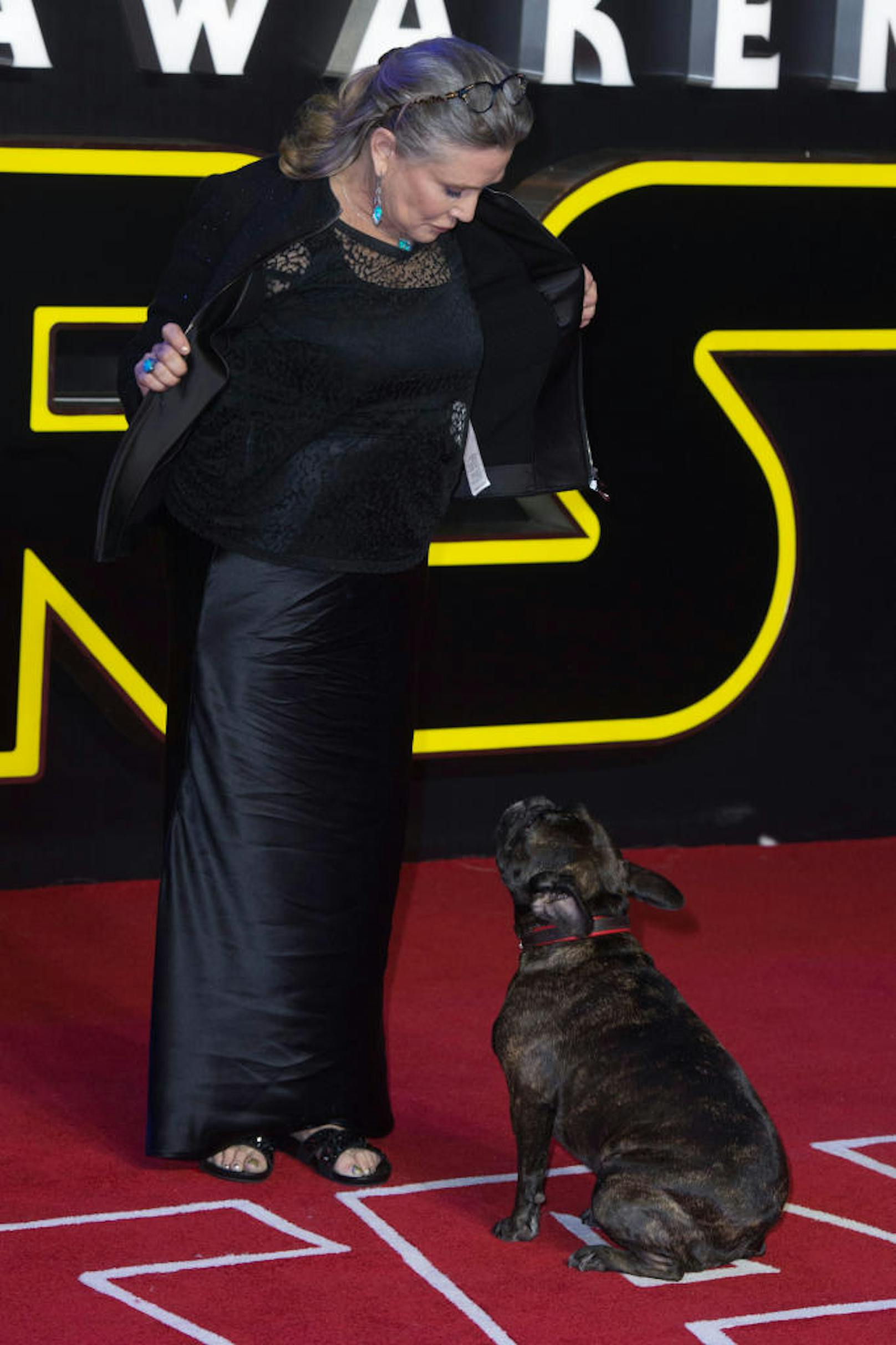Carrie Fisher mit Gary bei der Premiere von "Star Wars: The Force Awakens