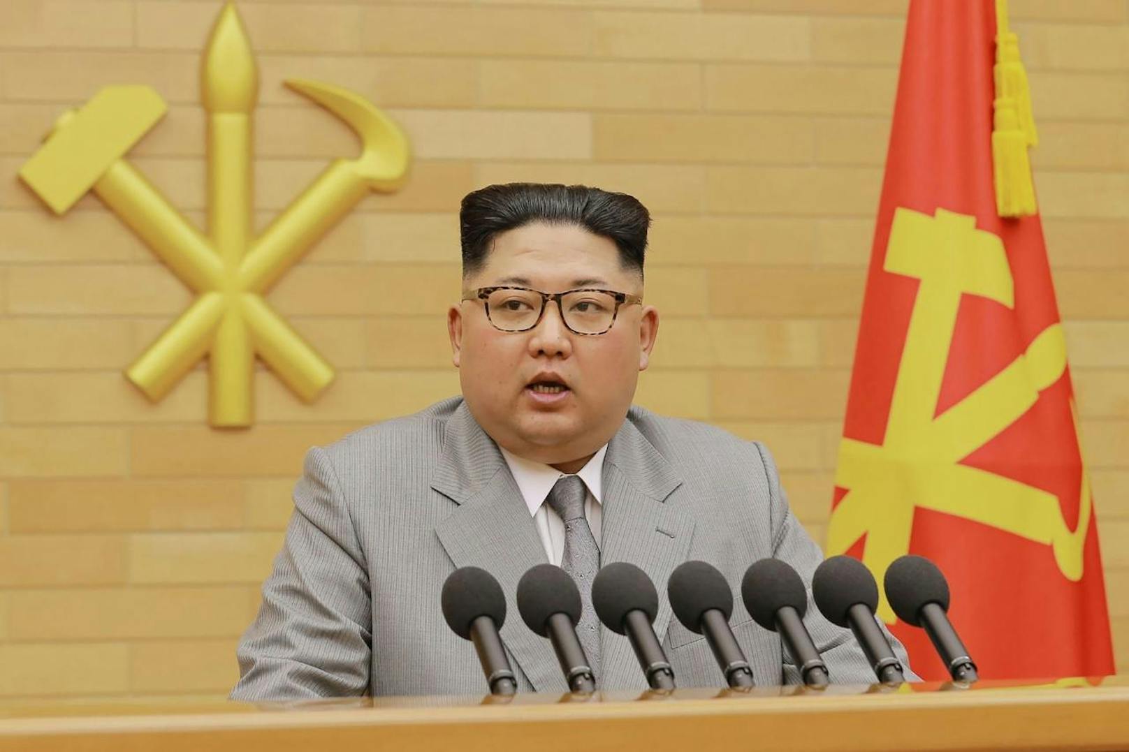 Der nordkoreanische Machthaber Kim Jong-un und US-Präsident Donald Trump wollen sich zu einem Gipfel treffen. Kim hat Trump zu dem Treffen eingeladen und dieser hat bereits zugesagt.