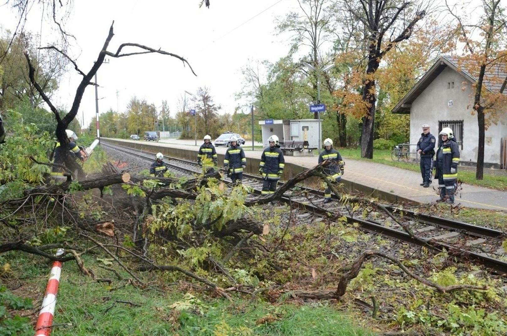 Beim Bahnhof Weigelsdorf fiel ein Baum auf die Gleise. 