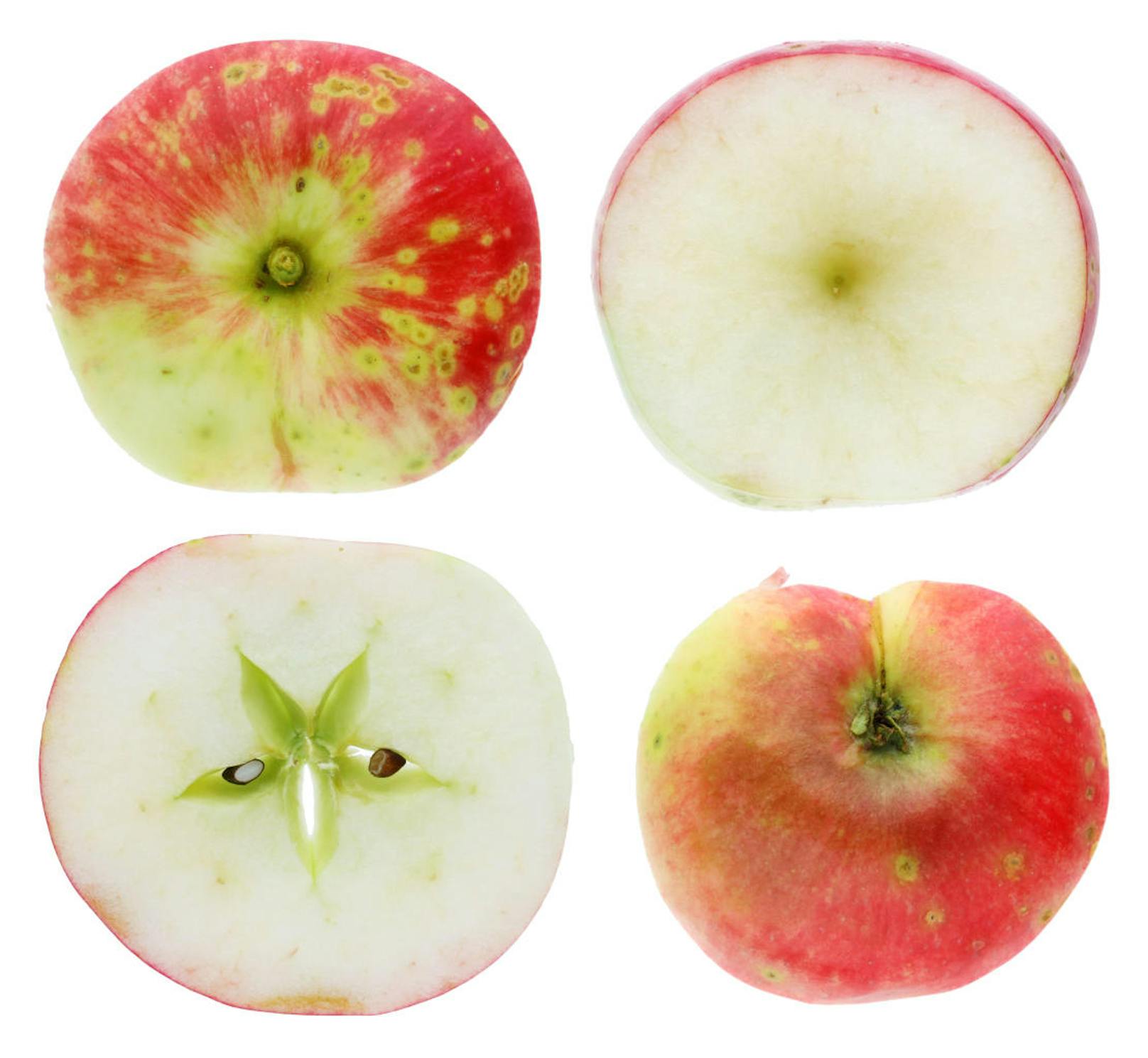 <b>Apfelchips</b>
Gesunde, knusprige Apfelchips gehen so: Äpfel ungeschält in Ringe schneiden, das Kerngehäuse je nach Wunsch entfernen oder auch drinlassen - es sieht nach dem Backen aus wie ein kleines Sternchen.
