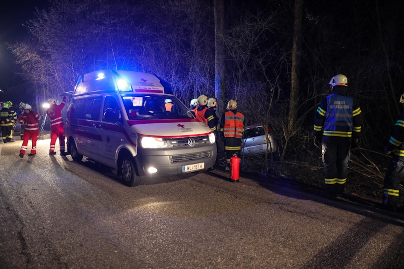 Die Feuerwehrleute mussten den Fahrzeuglenker aus den Bäumen befreien.