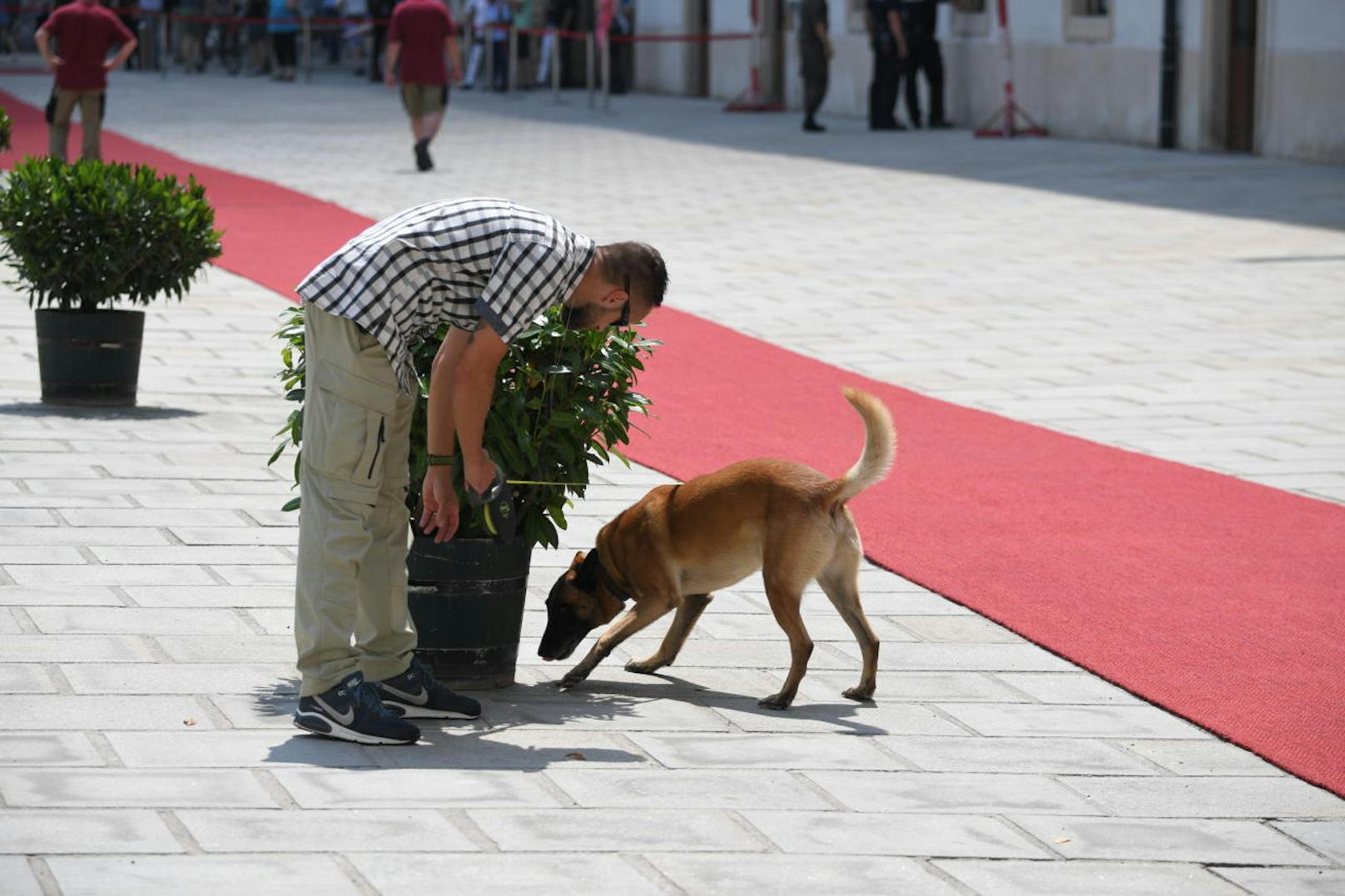 Ein Spürhund durchsucht jeden Blumentopf vor der Hofburg nach gefährlichen Gegenständen.