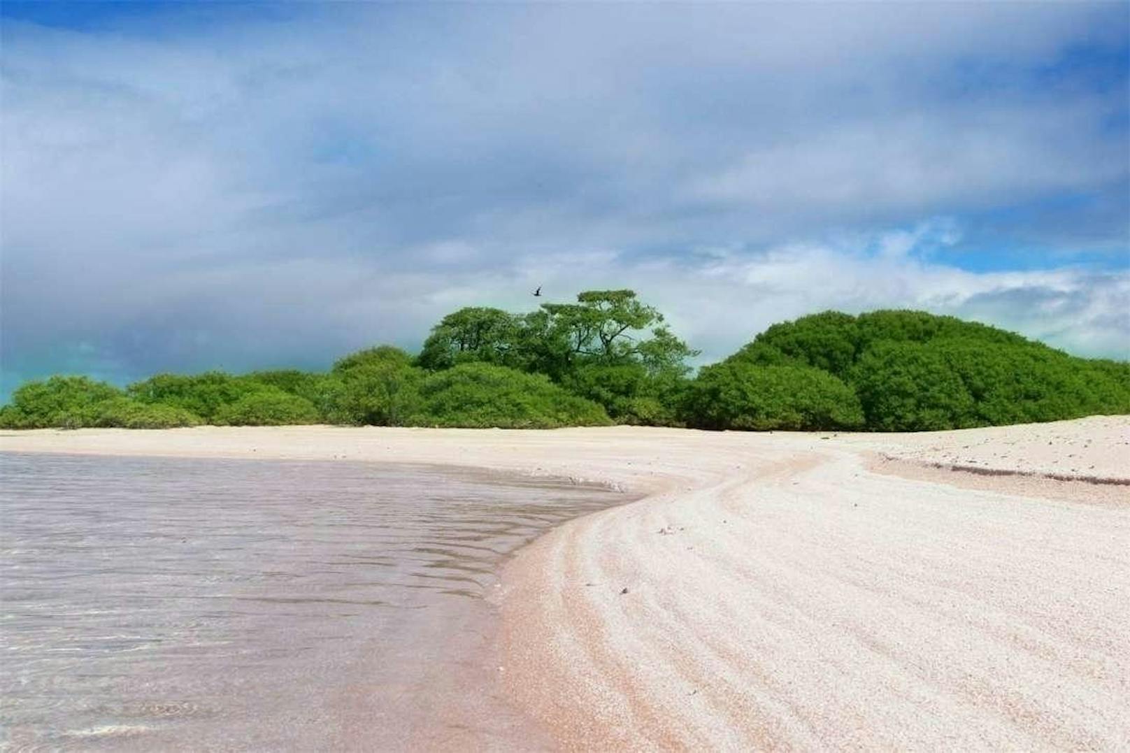 Die Insel befindet sich rund 10 Minuten von der berühmten blauen Lagune Rangiroa entfernt. Kostenpunkt: 234.643 Euro