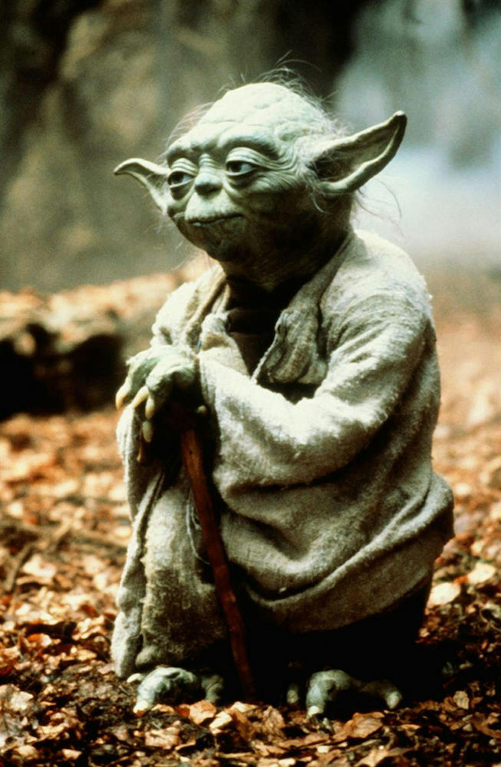 Yoda in "Star Wars: Episode V - Das Imperium schlägt zurück"