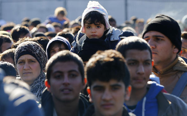 Umfrage zur Migration in Österreich