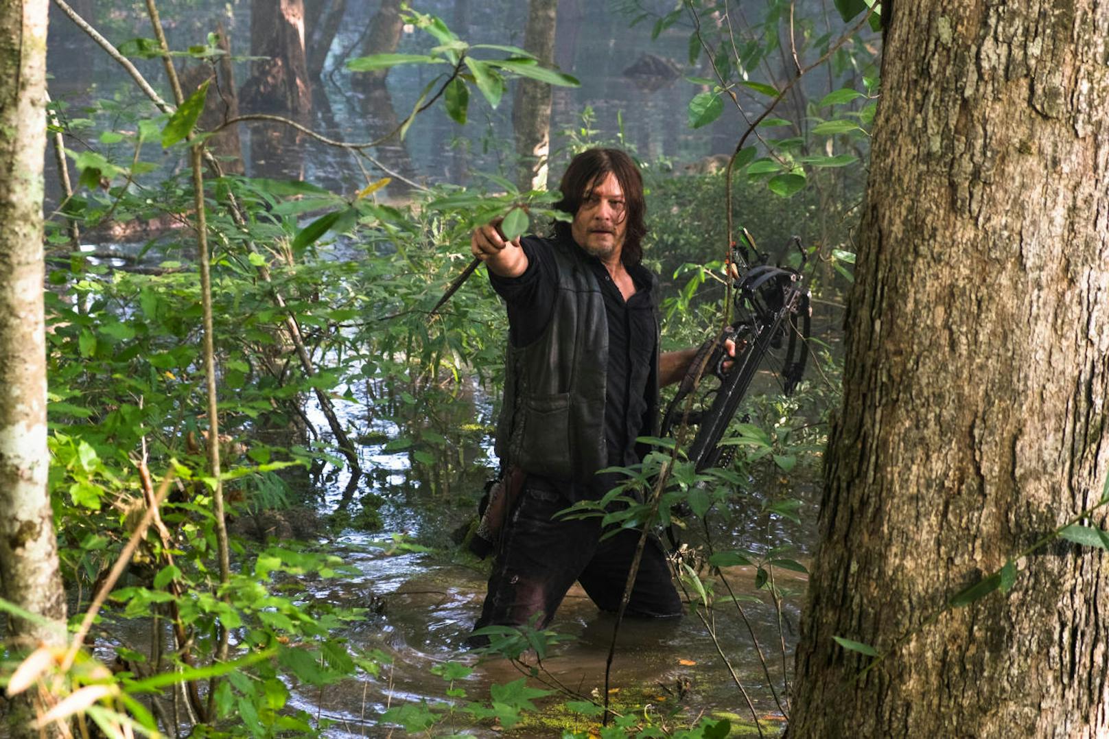 The Walking Dead, Staffel 8: Norman Reedus als Daryl Dixon