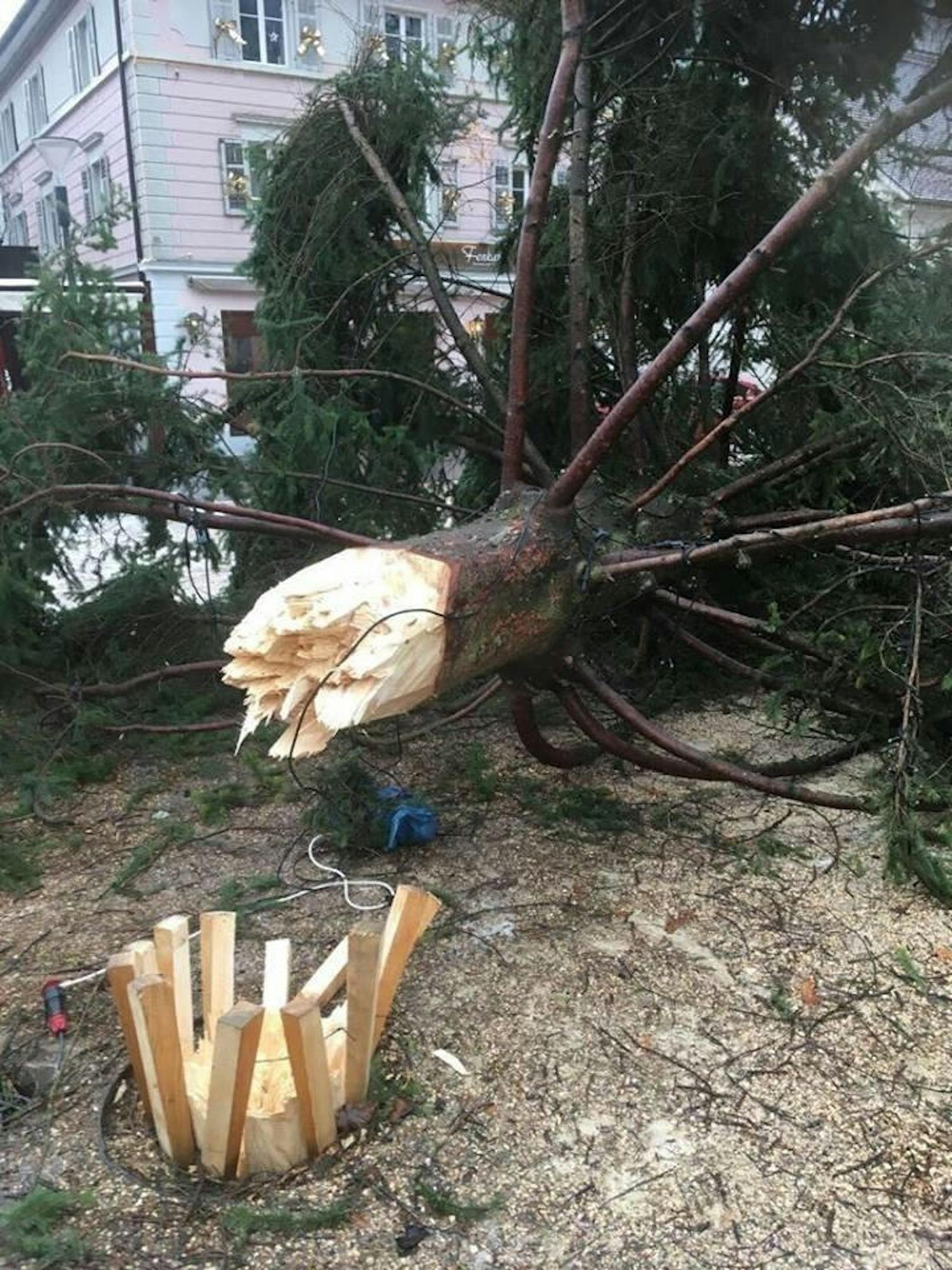 Der Sturm war so stark, dass in Hohenems ein riesiger Christbaum entwurzelt wurde