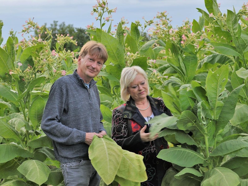 Reinhard Leitner, Geschäftsfuhrer der Tschickmanufaktur, und Tabakexpertin Manuela Matias.