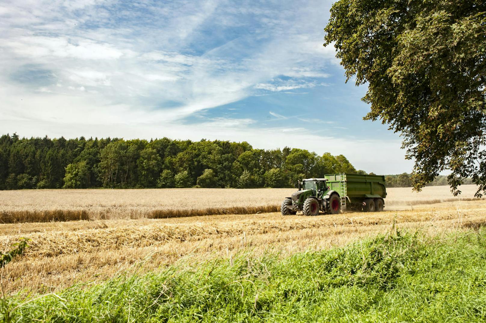 Darum jubeln Bauern über EU-Agrarreform