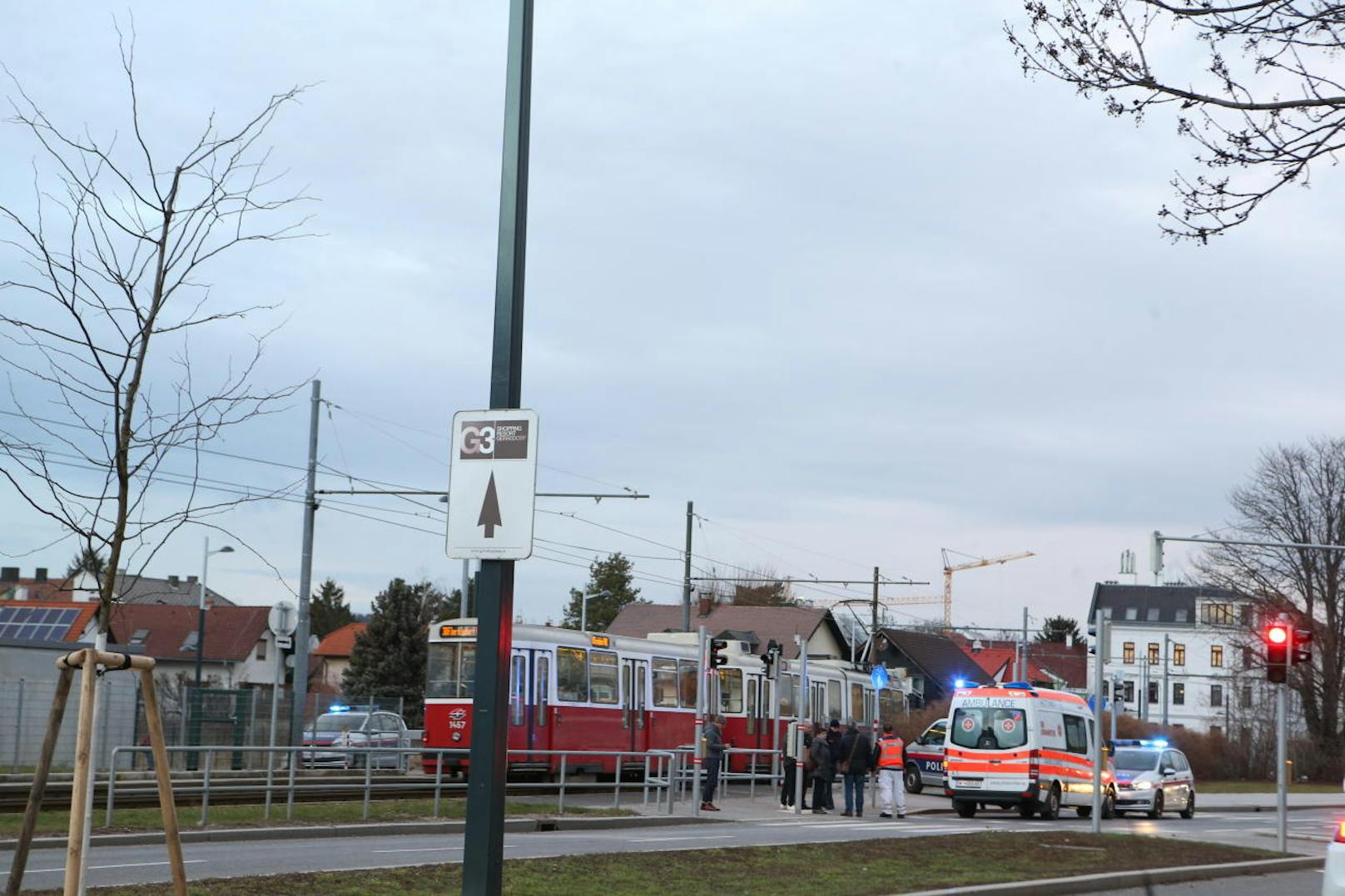 Der 12-Jährige wartete zunächst ab, bis eine Straßenbahn, die in Richtung Schottenring unterwegs war, vorbeifuhr und rannte anschließend über die Gleise.