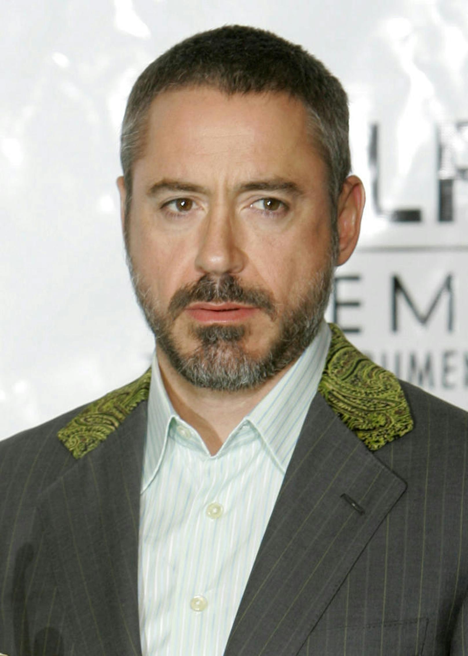 Robert Downey Jr. 2008 bei den ShoWest Awards in Las Vegas.