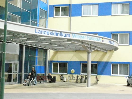 Kind landete schließlich im Wr. Neustädter Spital.