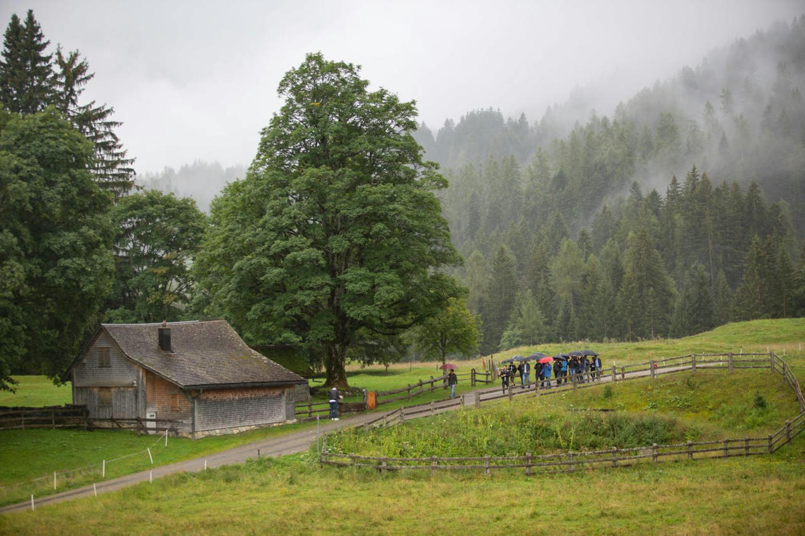 "Landeinwärts" war Kurz auch in Vorarlberg.(20. August 2019)