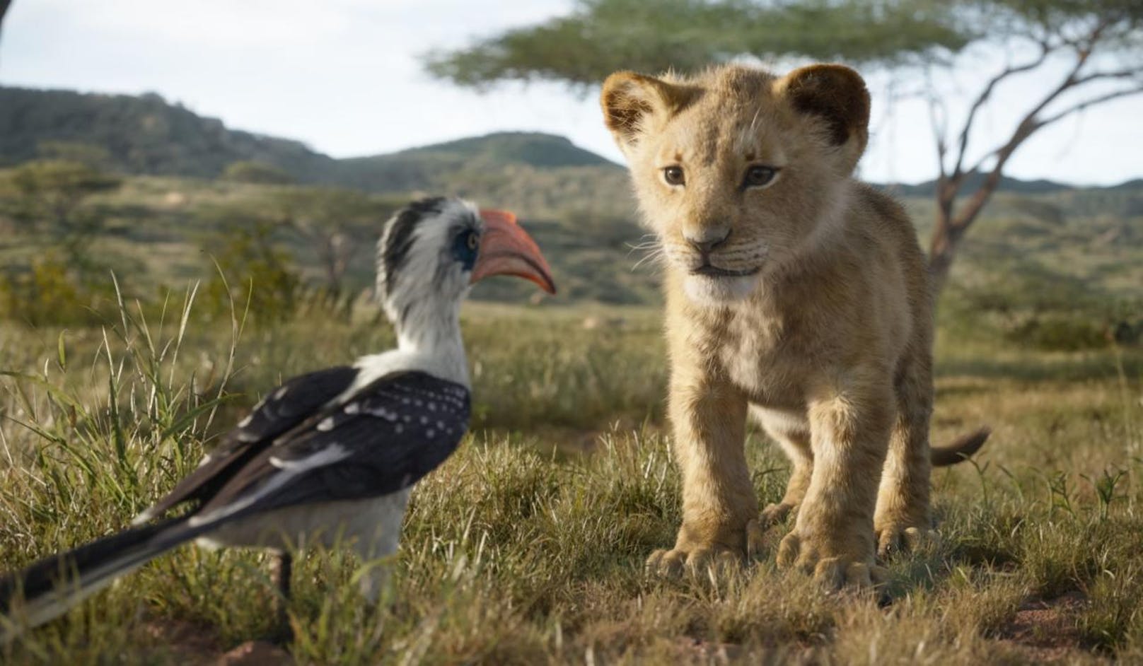 Disneys "Der König der Löwen" erhielt 2019 sein "Live Action"-Remake. Für die bemerkenswerte CGI-Technik gab es auch eine Oscar-Nominierung.
