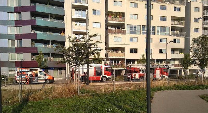 In der Antoni-Alt-Gasse in Wien kam es am Montagmorgen zu einem Brand.  