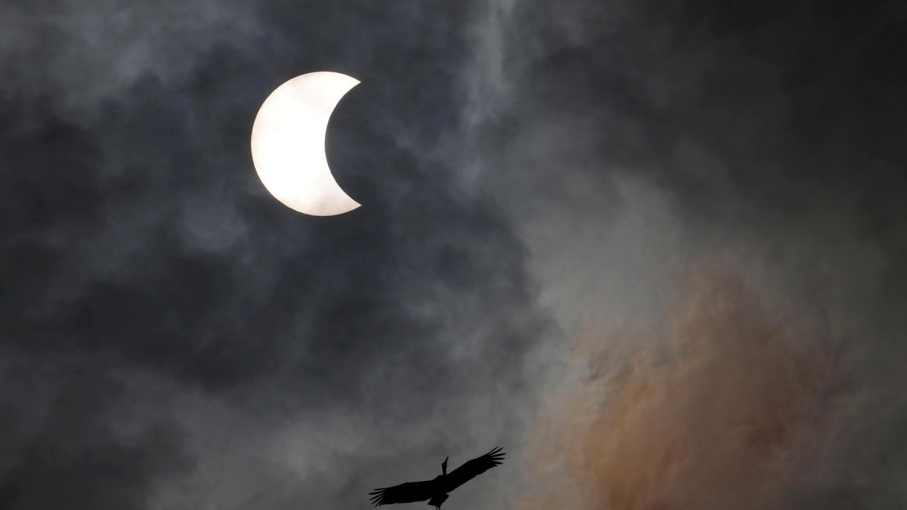 Auch in Indien war ...