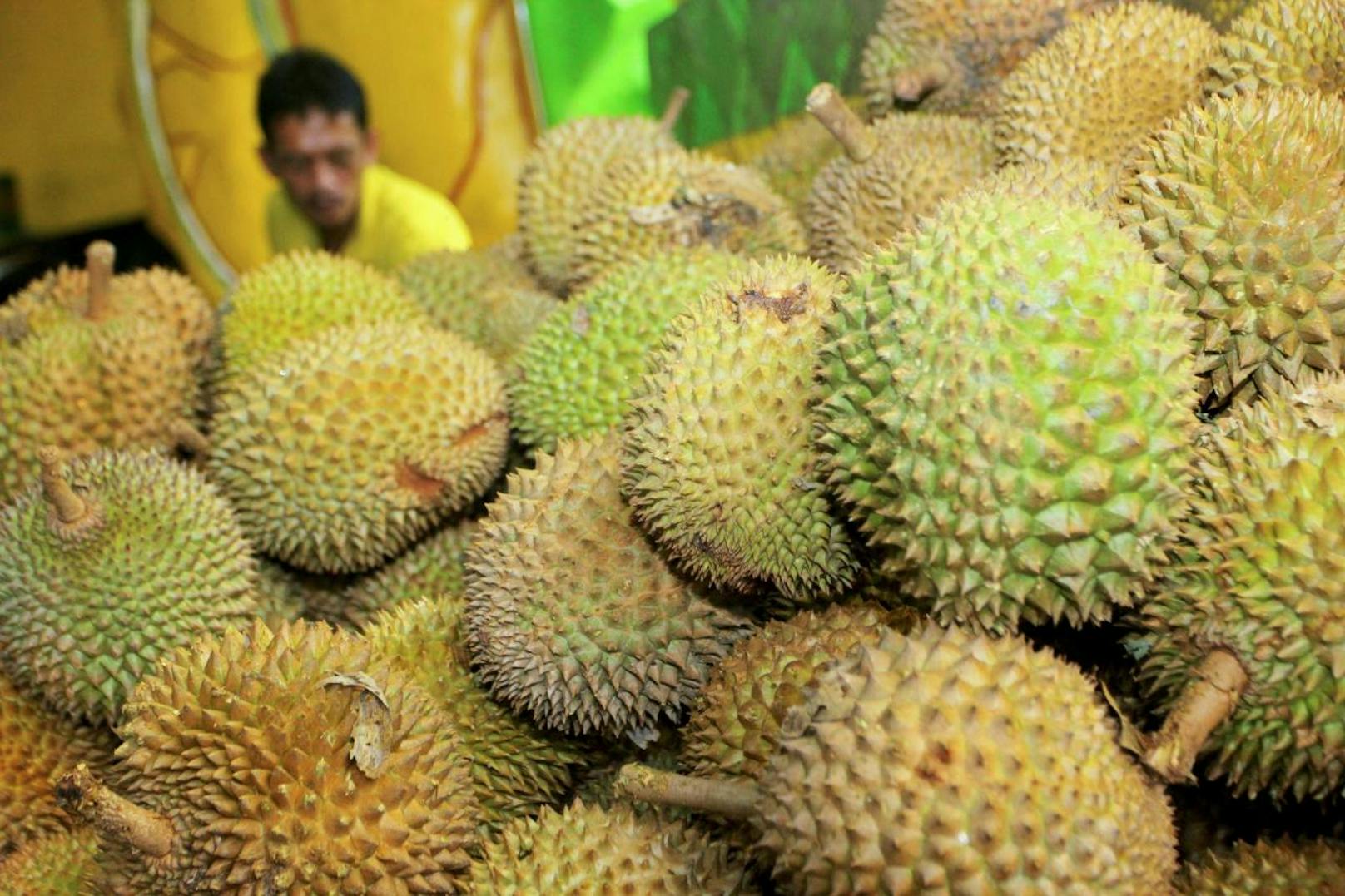 Die Durianfrucht erfreut sich in ganz Südostasien großer Beliebtheit.