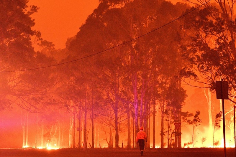 Seit Oktober wüten die Buschbrände in Australien.