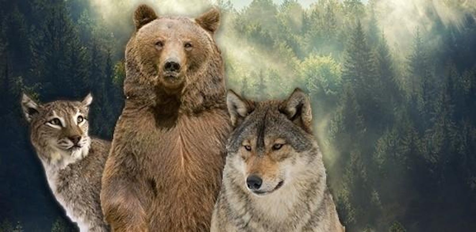 WWF Österreich, Tiroler Jägerverband und Naturschutzbund Österreich gründen Allianz und sagen illegaler Wilderei in Tirol den Kampf an.