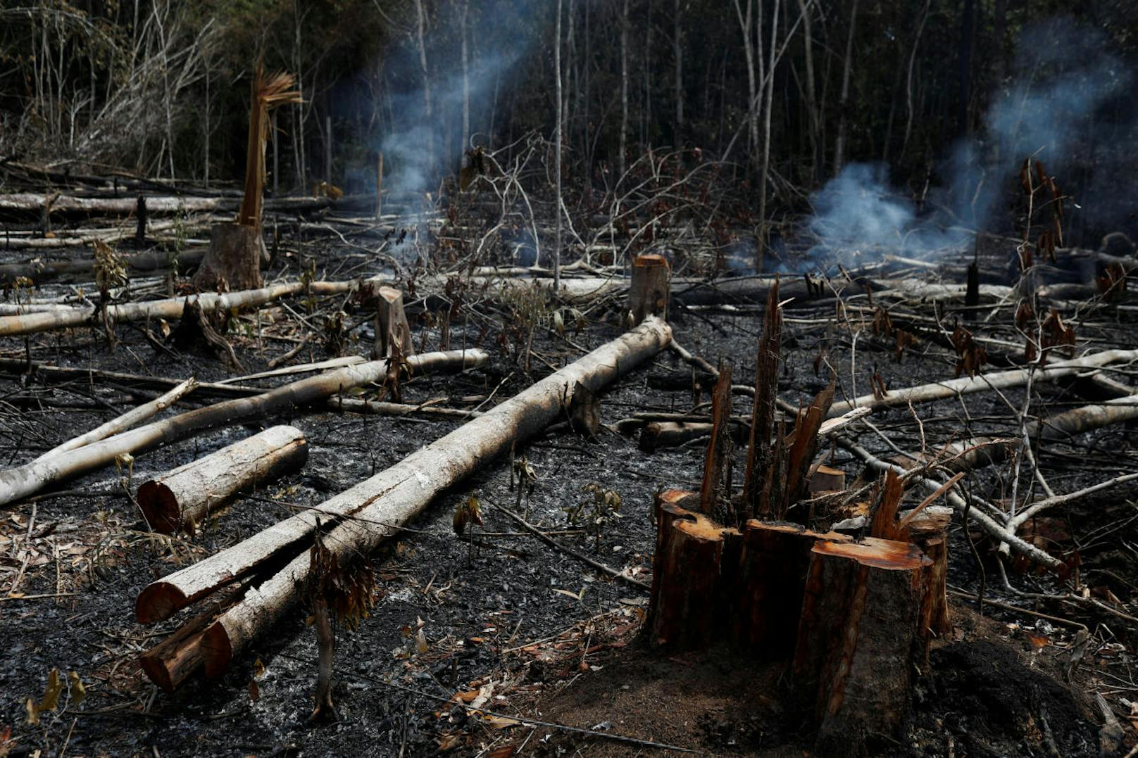 Der brasilianische Präsident Jair Bolsonaro beschuldigt Umweltschützer, die Brände gelegt zu haben.