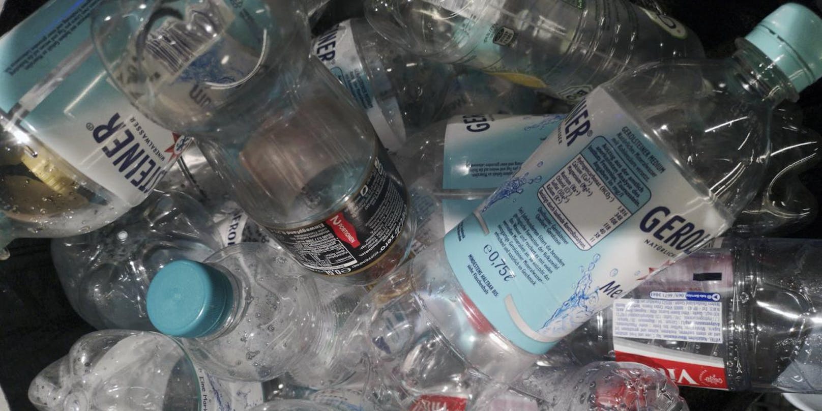 Plastik landet oft in der Umwelt.