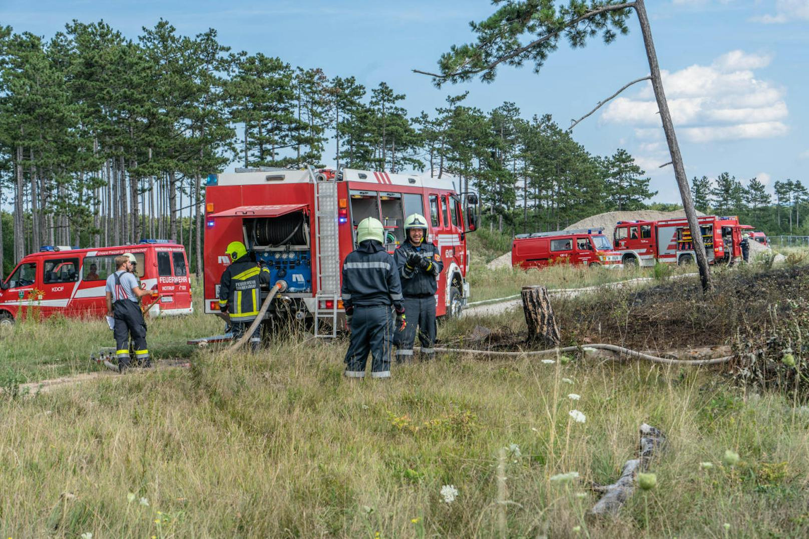 Im Föhrenwald bei St. Egyden (Bezirk Neunkirchen) kam es am Montagnachmittag zu einem Brand.