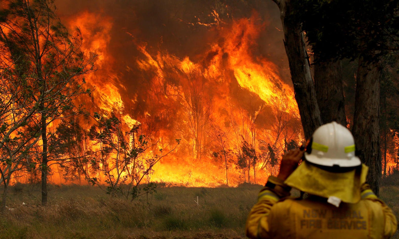 Zahlreiche außer Kontrolle geratene Buschfeuer halten derzeit Feuerwehr und Bewohner der Bundesstaaten New South Wales und Queensland in Atem.