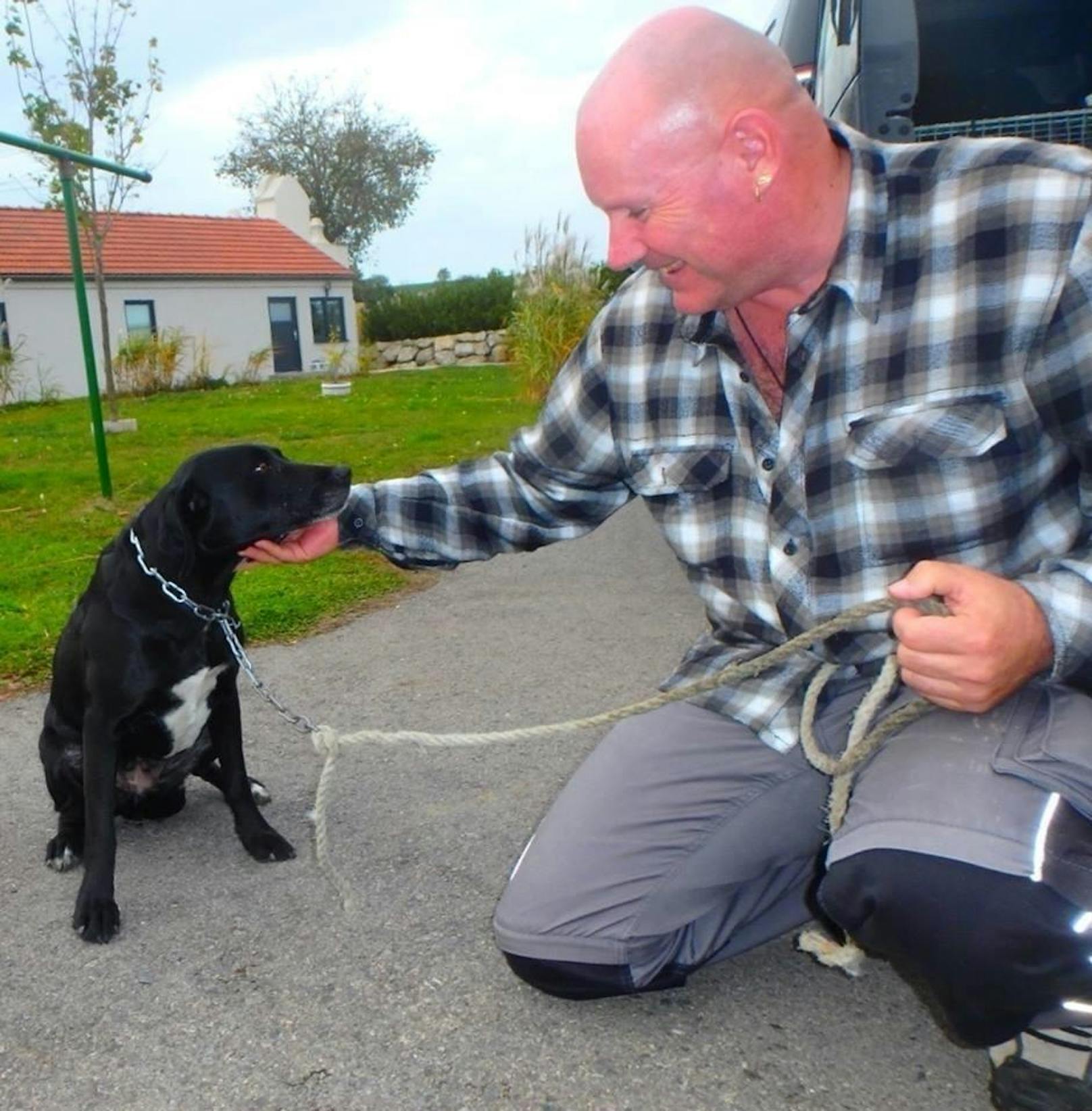 Vor einem Jahr retteten Tierschützer (im Bild Hundeschweiger Bernhard Kainz) mehrere Tiere.
