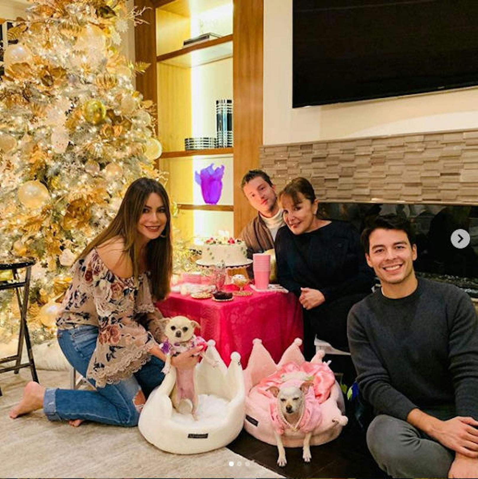 04.12.2019: "Modern Family"-Star Sofia Vergara veranstaltete für ihre Hündin Baguette eine kleine Geburtstagsparty. Neben ein paar Leckerlis gab es auch eine Geburtstagsparty.