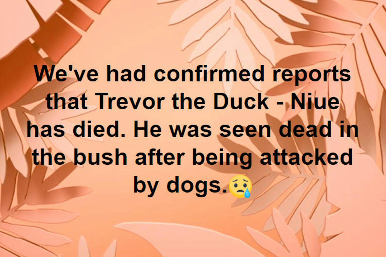 ... trauriges Ende. Nachdem er tagelang vermisst worden war, wurde Trevors Leiche in einem Gebüsch gefunden. Der Erpel war in Folge einer Hundeattacke verstorben.