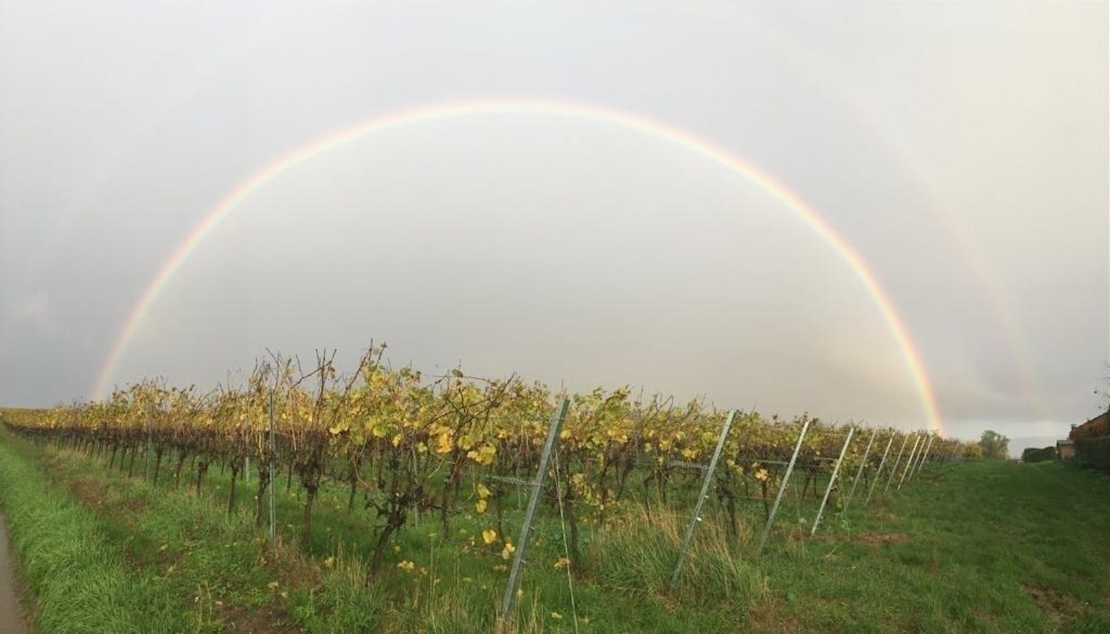Entlang der Weinstraße in Niederhorbach in Rheinland-Pfalz fotografierten die beiden Brüder diesen tollen Regenbogen.
