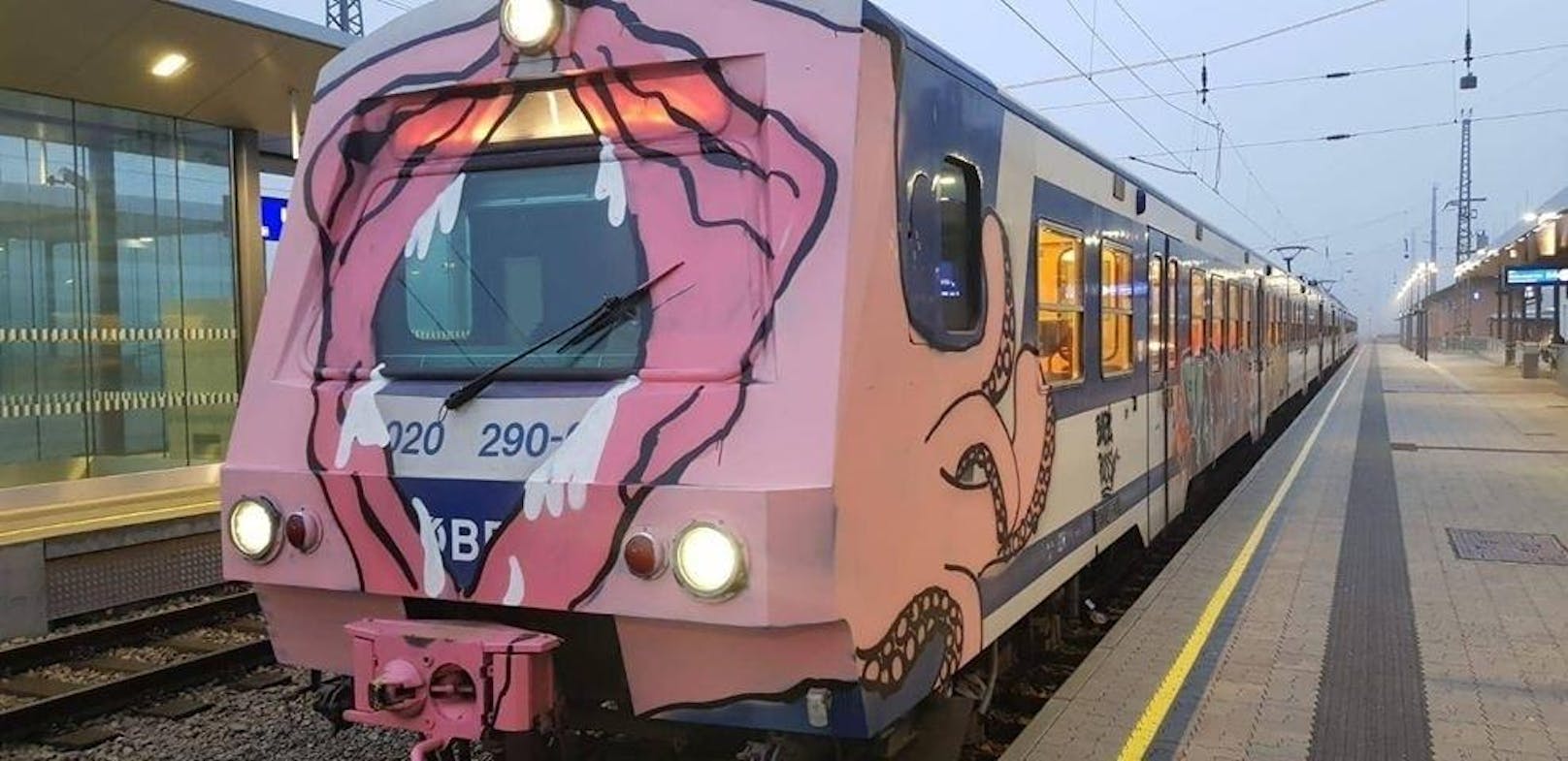 Der S-Bahn-Zug bekam von unbekannten Sprayern einen Vagina-Look verpasst. 