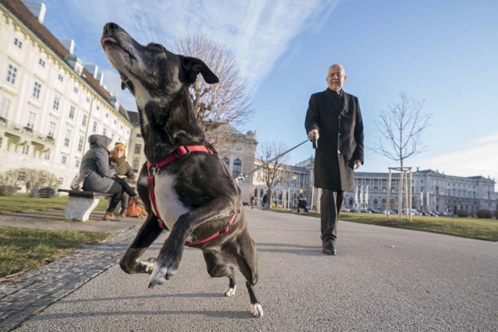 Hier fängt First Dog Juli gerade ein Leckerli.&nbsp;