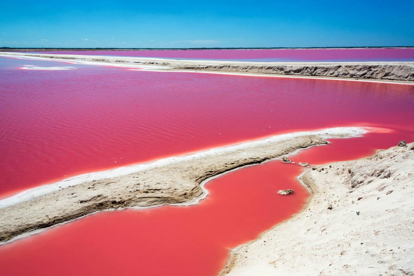 Der rosafarbene See Las Coloradas im Norden der Halbinsel Yucatán in Mexiko ist ein echter Touristen-Magnet