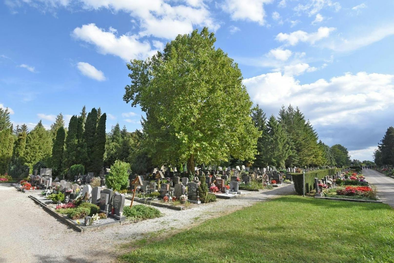 Der Friedhof in St. Pölten.
